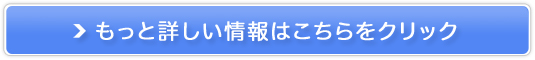B.A �v���e�N�^�[�̔��T�C�g��